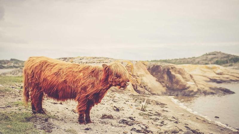 製造業 A 社の提案資料作成シーン