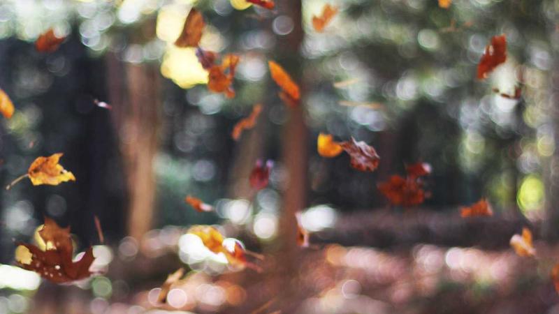 小売業 B 社の議事録自動化シーン